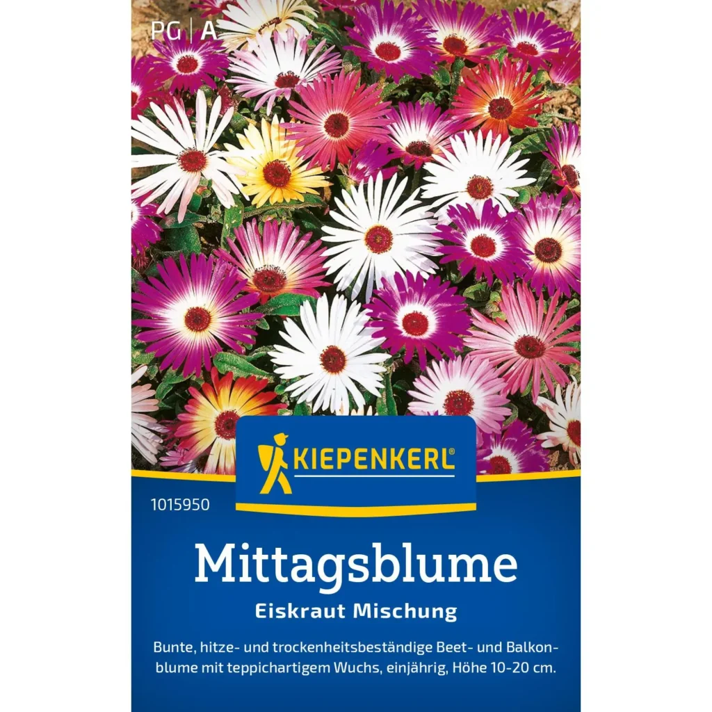 Kiepenkerl Mittagsblume-Eiskraut-Mischung, blühende Pflanzenvielfalt, ideal für sonnige Beete und Balkone, fördert Bienen und Schmetterlinge.