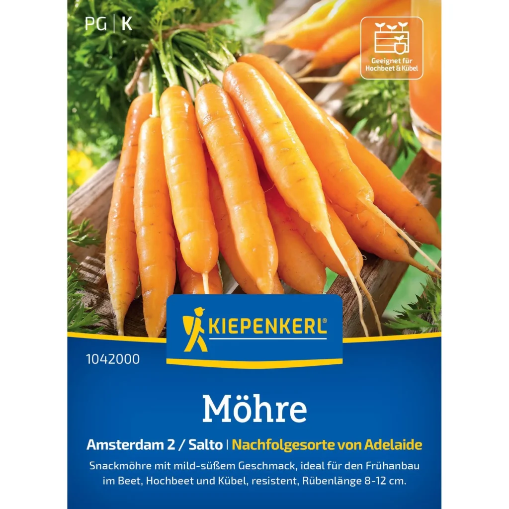 Kiepenkerl Möhren Amsterdam 2 Salto, knackige, süße Karotten, ideal für frisches Gemüse im eigenen Garten, 300 Samen.