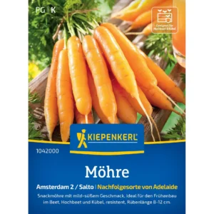 Möhrensamen Amsterdam 2/Salto