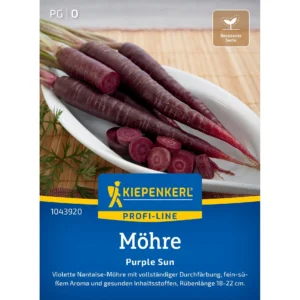 Möhrensamen Purple Sun