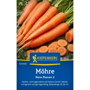 Möhrensamen Rote Riesen 2