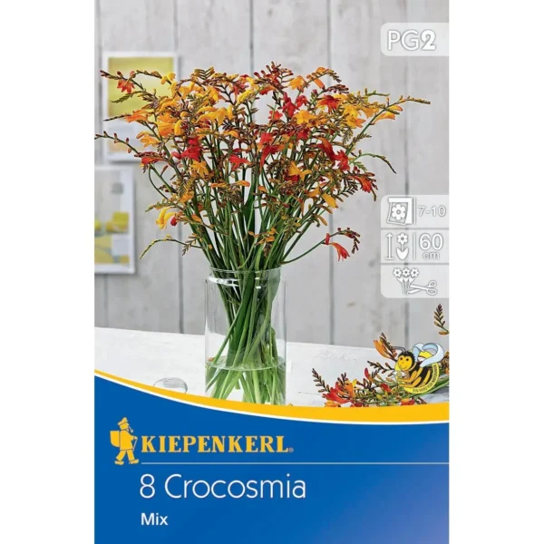 Kiepenkerl Montbretie kleinblumige Mischung, farbenfrohe Blütenpracht für Garten und Balkon, ideal für vielfältige Pflanzarrangements.