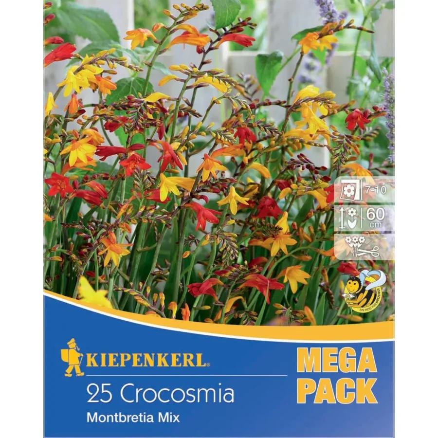 Kiepenkerl Montbretien-Mischung für farbenfrohe Gärten, robuste Blumenzwiebeln, ideal für kreative Rabatten und Beete.