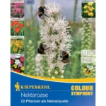 Nektaroase