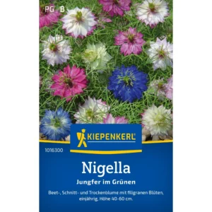 Nigellasamen Jungfer im Grünen