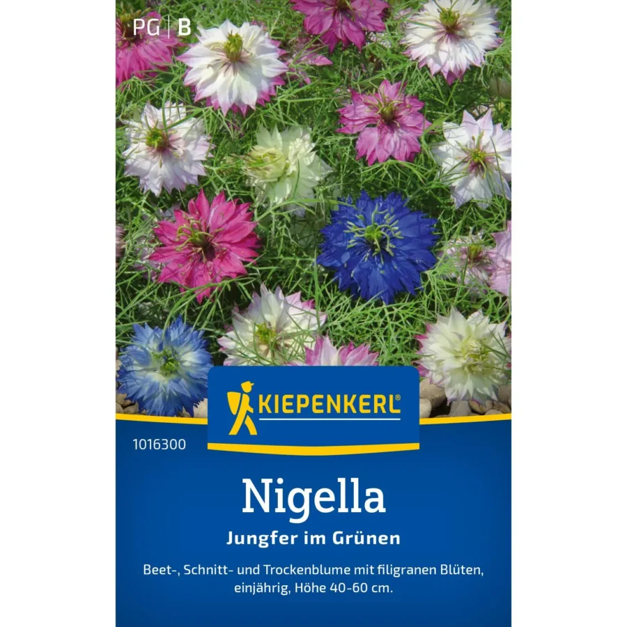Kiepenkerl Nigella Jungfer im Grünen, ideale blühende Staude für verschiedene Gartenbereiche, pflegeleicht und robust.