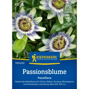 Passionsblumensamen Passiflora