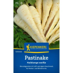 Pastinakensamen Halblange weiße