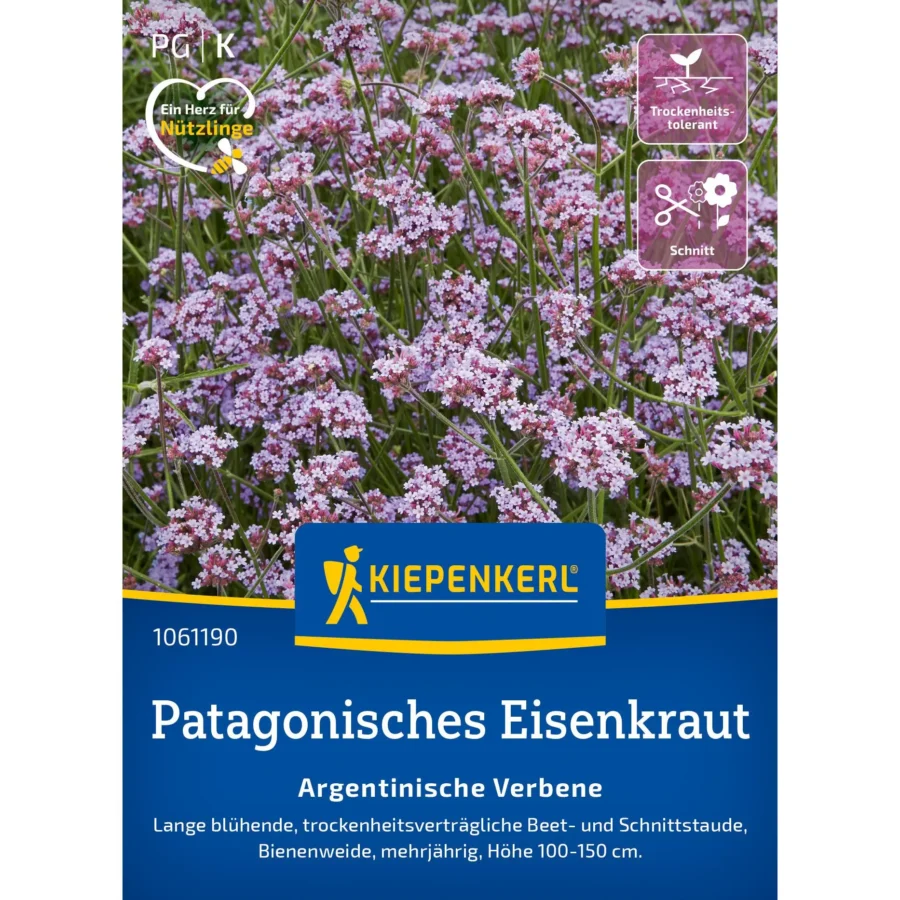 Kiepenkerl Patagonisches Eisenkraut, duftende argentinische Verbene, ideal für duftende Kräutergärten, 30 cm Höhe, mit attraktiven lila Blüten.