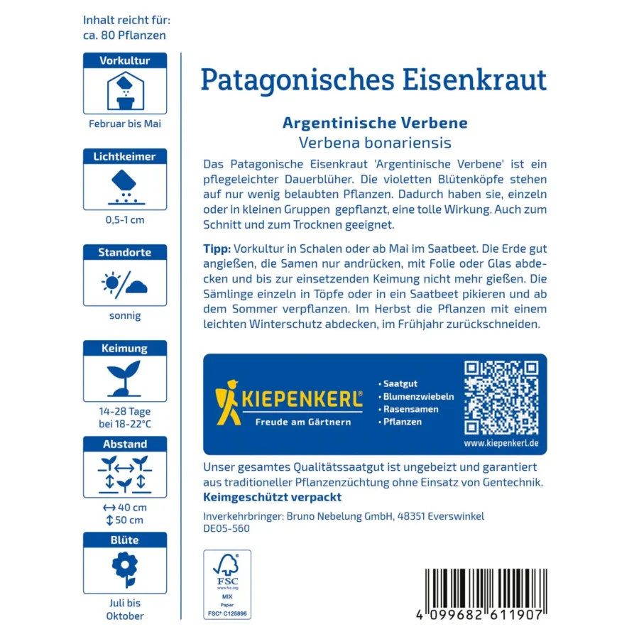Kiepenkerl Patagonisches Eisenkraut, robuste Argentinische Verbene, ideal für duftende Gärten, starke Blüten in violett, 12 cm Topf.