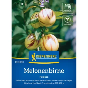 Pepinosamen Melonenbirne