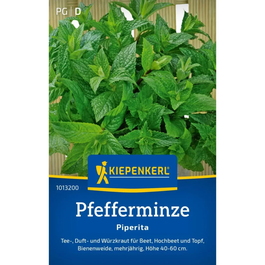 Kiepenkerl-Pfefferminze Piperita, erfrischender Kräuterduft, ideal für Tees und Cocktails, 10 Saatgutkörner für aromatischen Genuss.