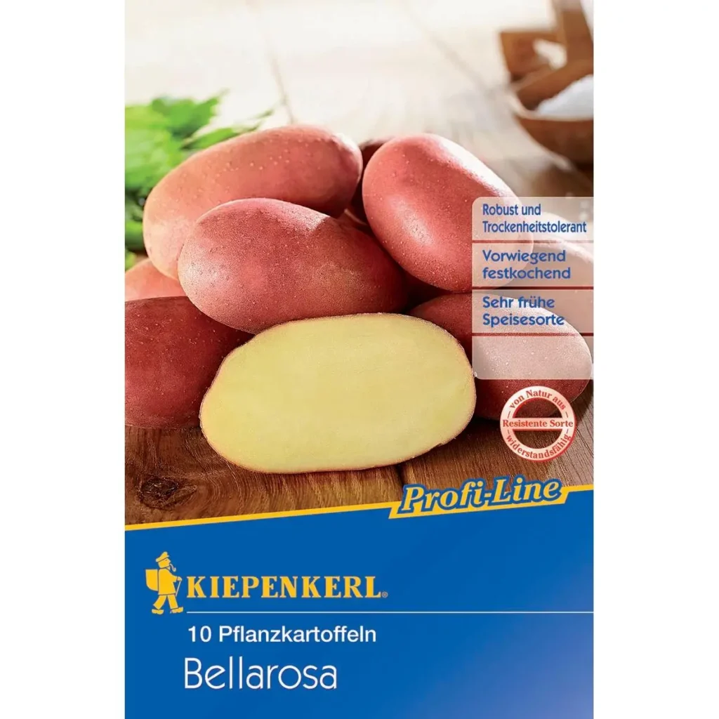 Kiepenkerl Pflanzkartoffel Bellarosa, 10 Stück, schmackhafte Erdäpfel mit roter Schale, ideal für Garten und Balkon.