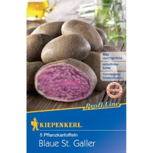 Pflanzkartoffel Blaue St. Galler, 5 Stück