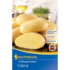 Kiepenkerl Pflanzkartoffel Cilena, 10 Stück, ideal für ertragreiche Ernte, geschmackvoll und robust, perfekt für Hausgärten.