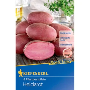 Pflanzkartoffel Heiderot, 5 Stück