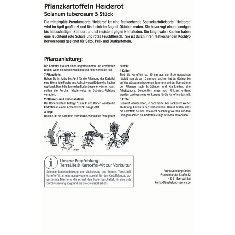 Kiepenkerl Pflanzkartoffel Heiderot, 5 Stück, ideal für frischen Geschmack im eigenen Garten, einfach anzubauen und robust.