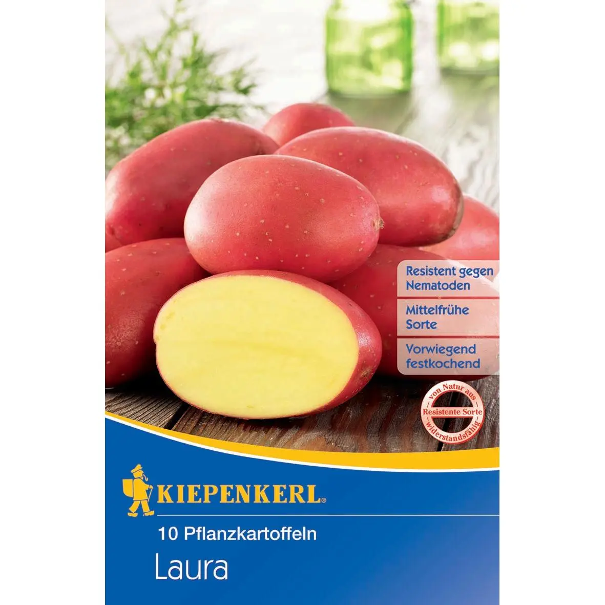 Pflanzkartoffel Laura, 10 Stück 1 Kiepenkerl Pflanzkartoffel Laura, 10 Stück, für ertragreiche Ernten, ideal für Hausgarten und Balkon.