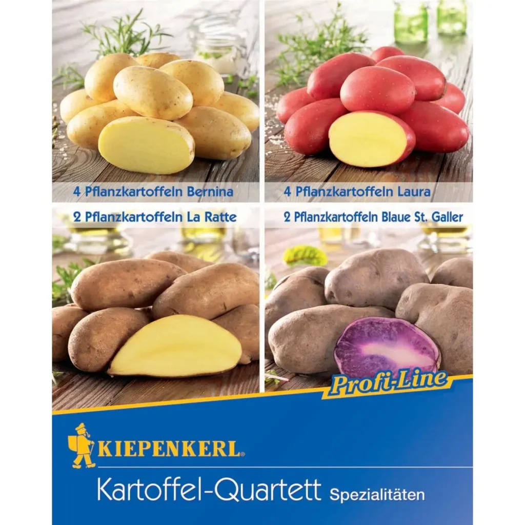 Kiepenkerl Pflanzkartoffel-Mischung, 12 Stück, ideal für abwechslungsreiche Ernte, robust und lecker für jeden Gartenliebhaber.