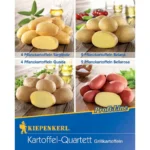Pflanzkartoffel Mischungstüte Grillkartoffeln, 12 Stück