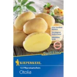 Pflanzkartoffel Otolia, 10 Stück