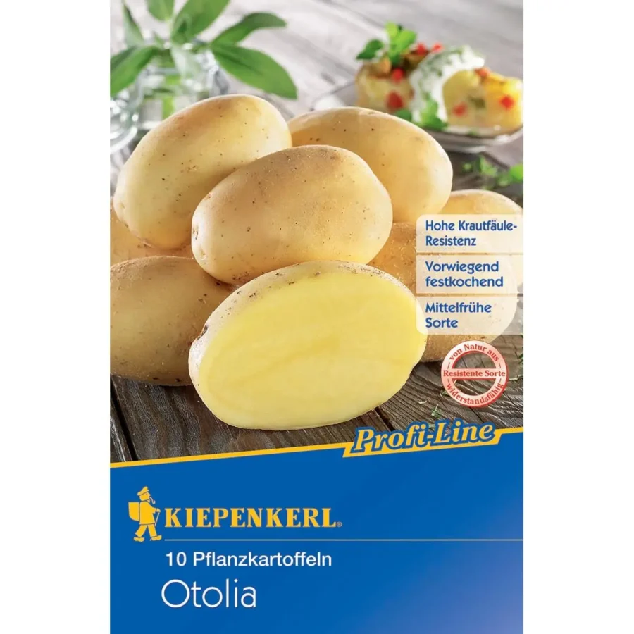 Kiepenkerl Pflanzkartoffel Otolia, 10 Stück, ideal für reiche Ernte, schmeckt hervorragend in Salaten und Beilagen.