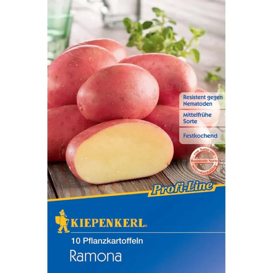 Kiepenkerl Pflanzkartoffel Ramona, 10 Stück, ideal für reichhaltige Erträge, schmackhafte Speisen und einfache Anzucht im Garten.
