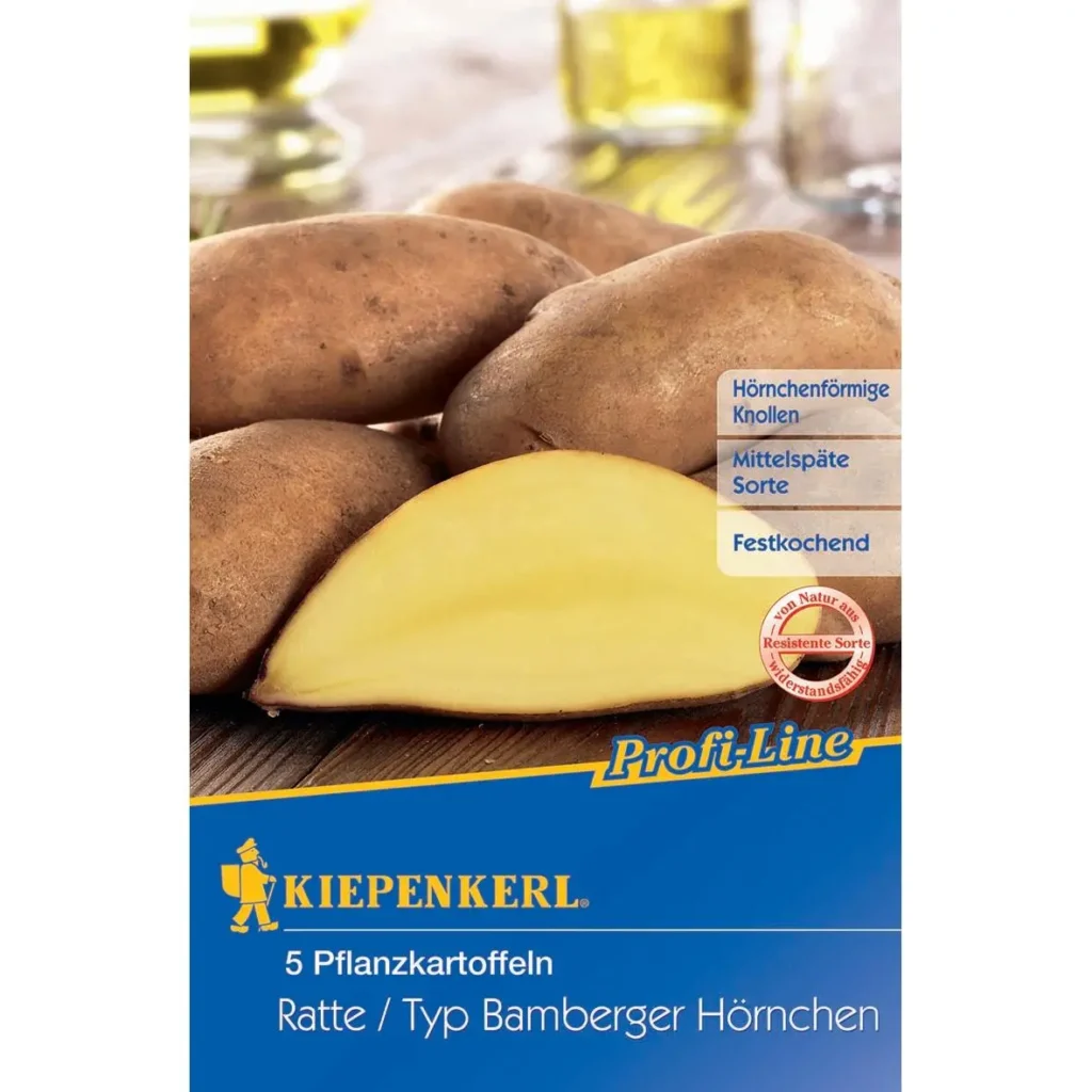 Kiepenkerl Pflanzkartoffel Ratte, 5 Stück, ideal für leckere eigene Ernte, robust und keimfest.