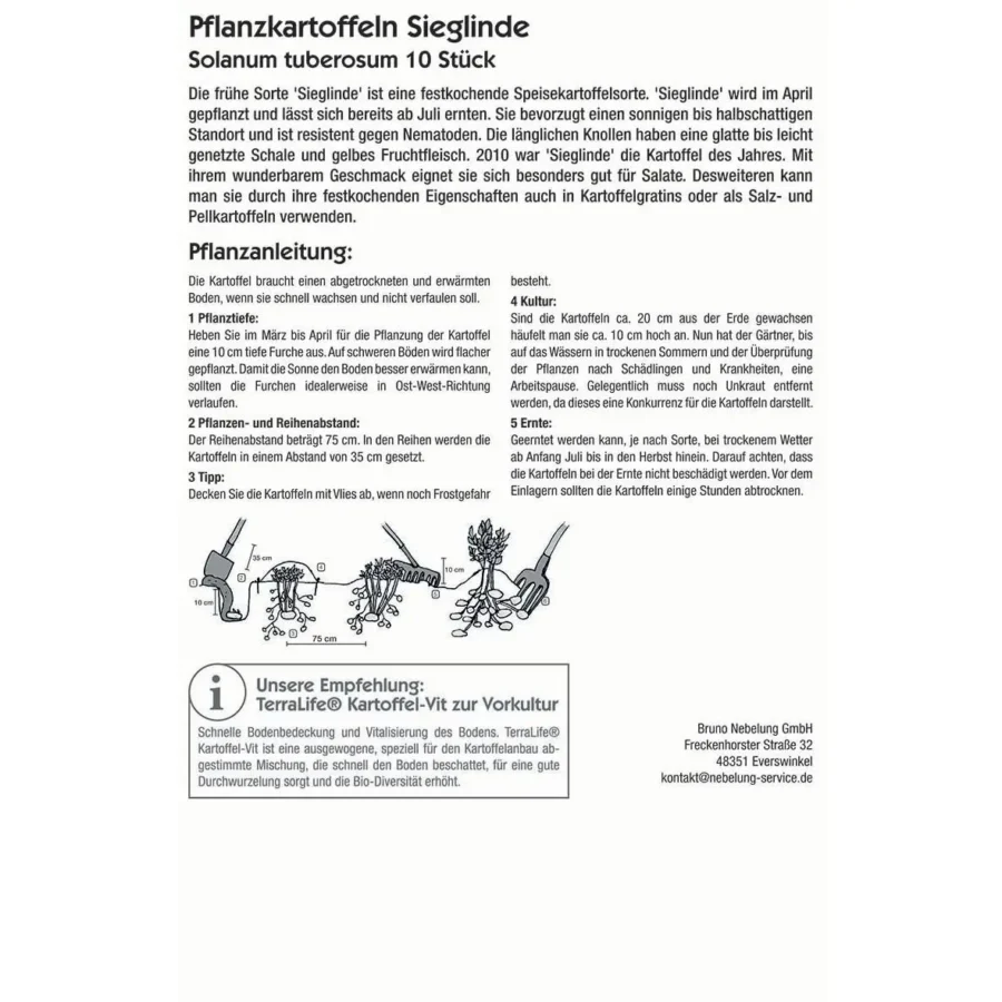 Kiepenkerl Pflanzkartoffel Sieglinde, 10 Stück, ideal für gesunde Ernten im eigenen Garten, früh reif und geschmackvoll.