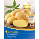 Pflanzkartoffel Sieglinde, 20 Stück