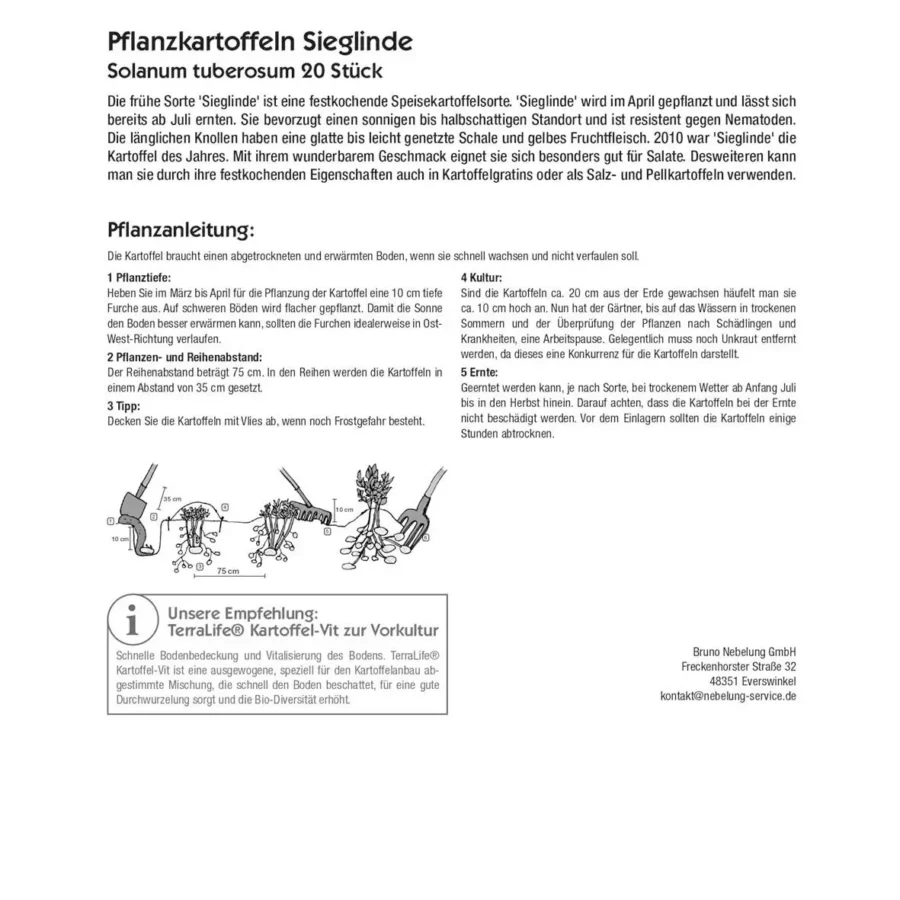 Kiepenkerl Pflanzkartoffel Sieglinde, 20 Stück, fruchtbar und madenresistent, ideal für gesunde Ernten im eigenen Garten.