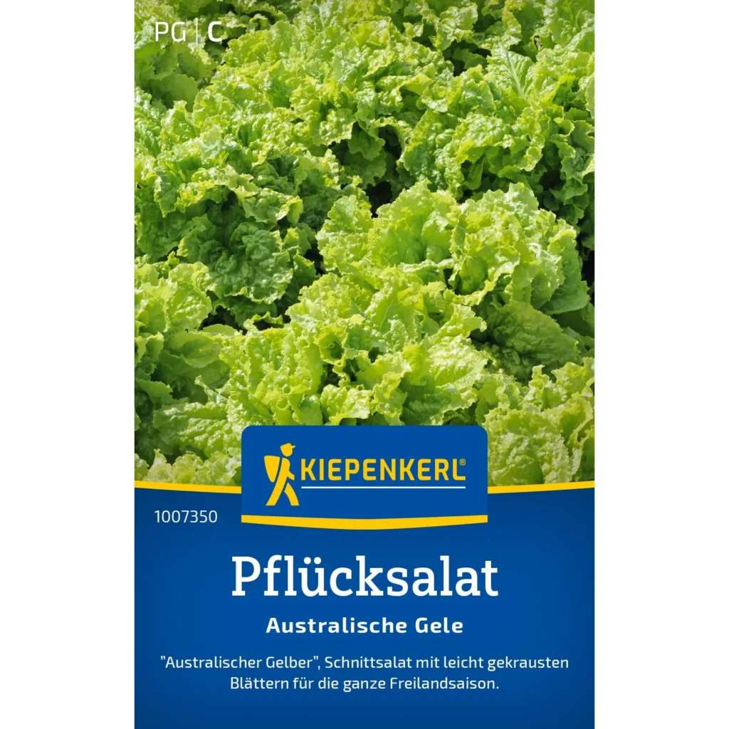 Kiepenkerl Pflücksalat Australische Gele, vitaminreich und knackig, ideal für gesunde Salate, saatfest, 40 Samen.
