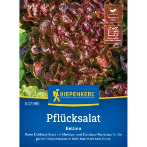 Pflücksalatsamen Bellino