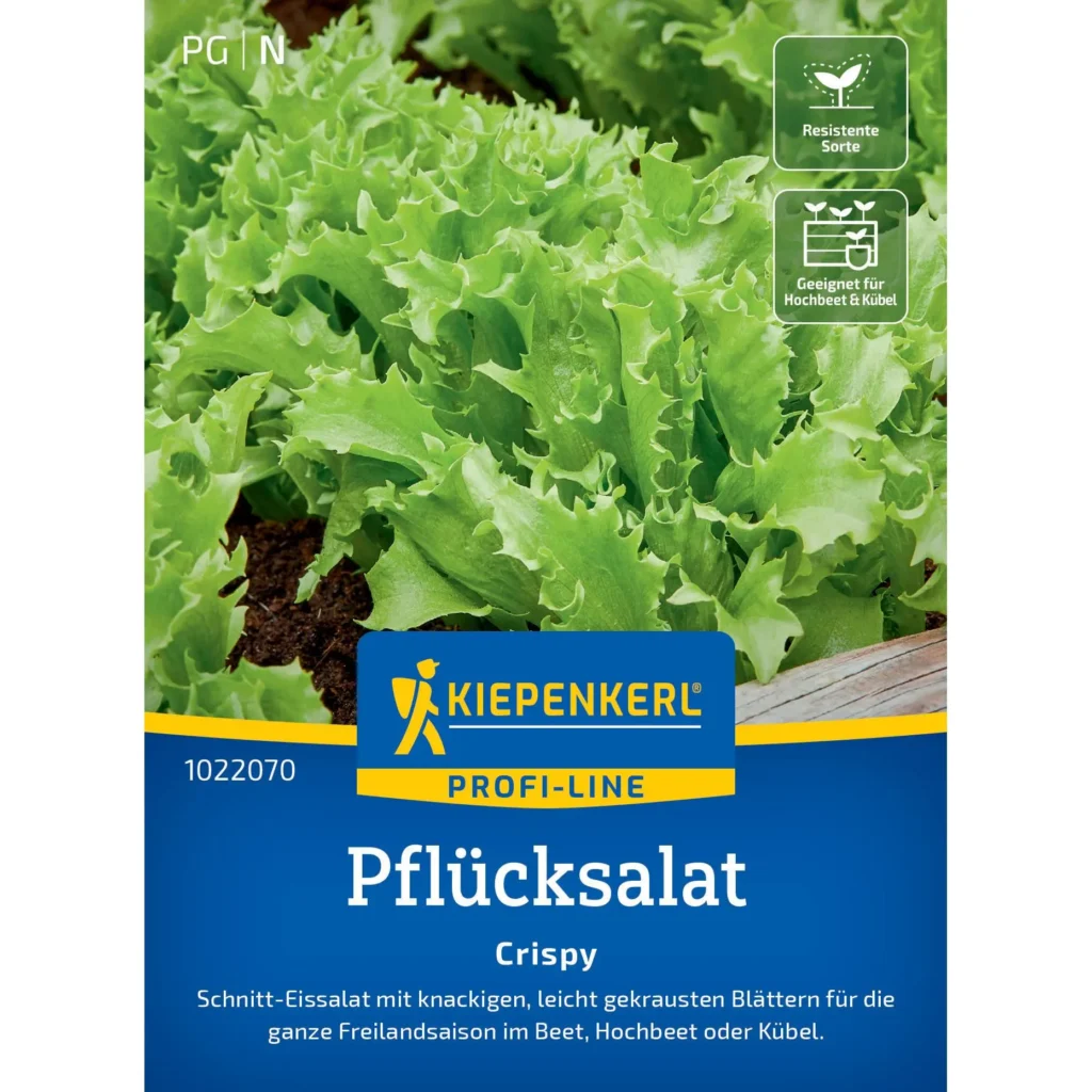 Kiepenkerl Pflücksalat Crispy, knackfrischer Schnittsalat, ideal für gesunde Salate, lichtgrün und reich an Vitaminen.