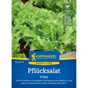 Pflücksalatsamen Crispy