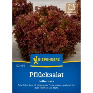 Pflücksalatsamen Lollo rossa
