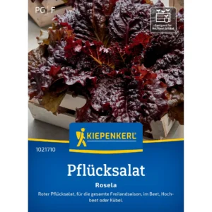 Pflücksalatsamen Rosela