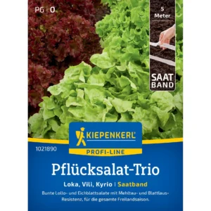 Pflücksalat-Triosamen Loka, Vili, Kyrio