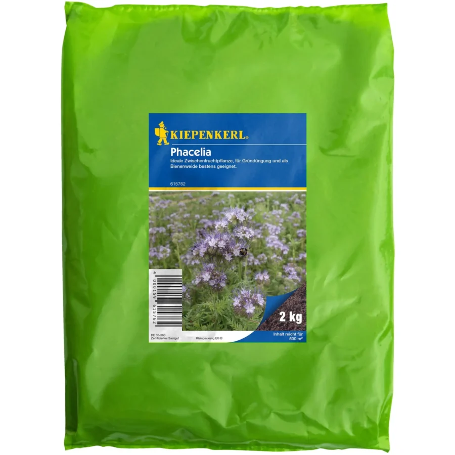 Kiepenkerl Phacelia, 2 kg, nährstoffreiche Blumensaat für bienenfreundliche Gärten, ideal zur Gründüngung.