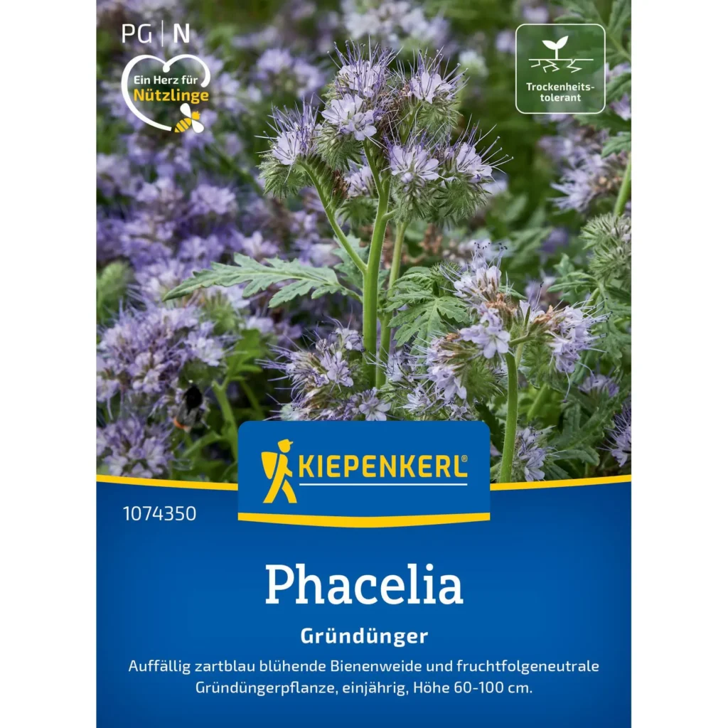 Kiepenkerl Phaceliasamen Bienenfreund, 1 Packung, ideal für bienenfreundliche Gärten und nährstoffreiche Böden.