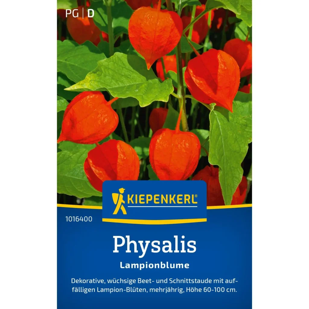 Kiepenkerl Physalissamen für farbenfrohe Lampionblumen, 2 g, ideal für blühende Gärten und kreative Pflanzprojekte.