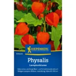 Physalissamen Lampionblume