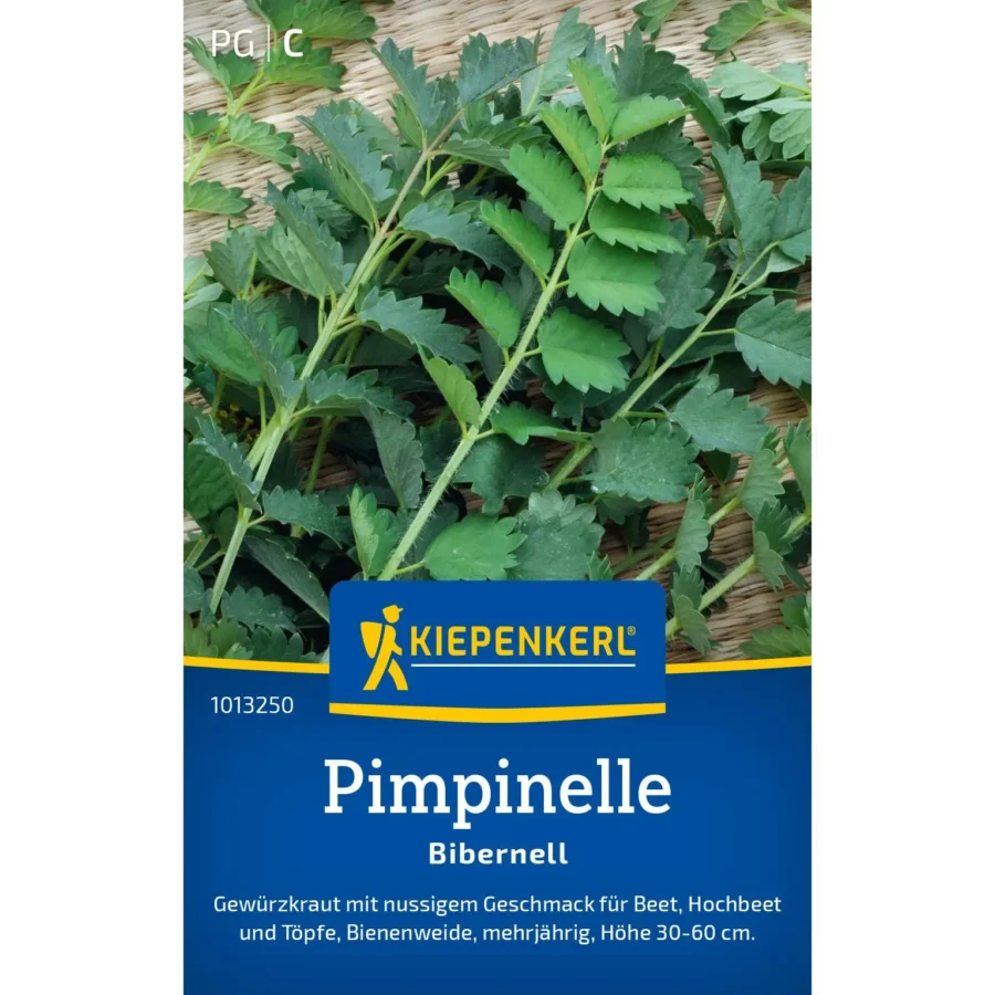 Kiepenkerl Pimpinelle Bibernell, aromatische Küchenkräuter-Saat, ideal für frische Salate und Tees, enthält 1 g Samen.