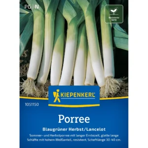 Porreesamen Blaugrüner Herbst/Lancelot