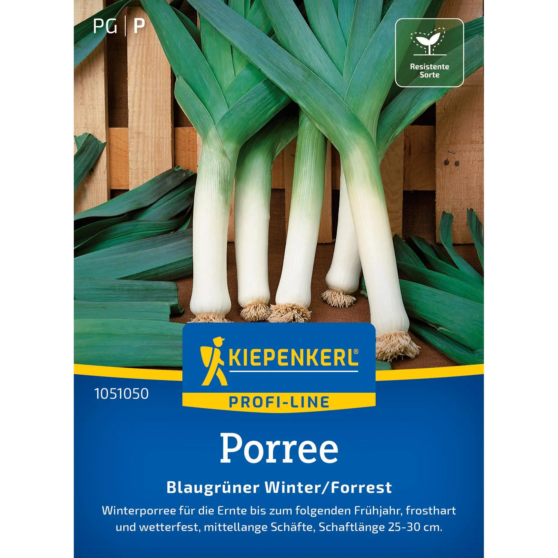 Porreesamen Blaugrüner Winter/Forrest 1 Kiepenkerl Porree Blaugrüner Winter, winterfester Gemüseporree, robust und geschmackvoll, ideal für Wintergärten und frische Ernte.