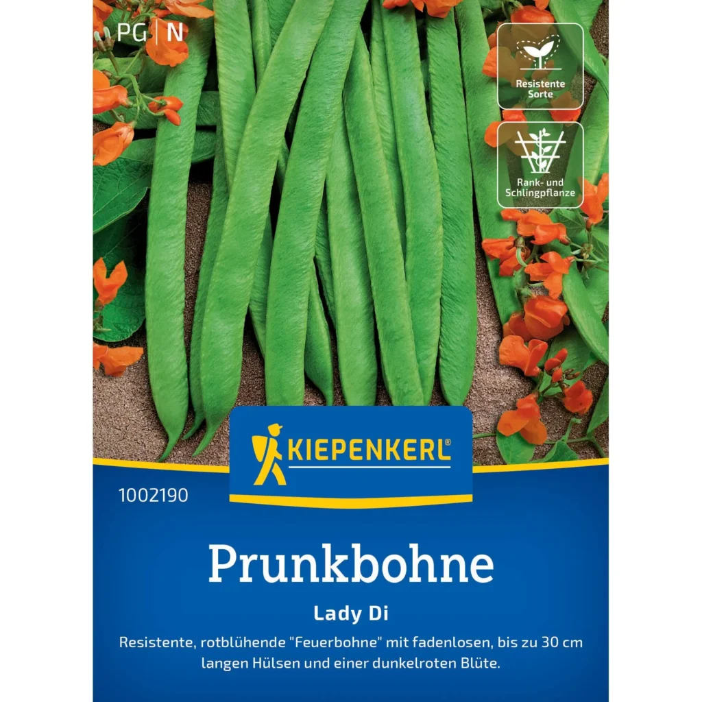 Kiepenkerl Prunkbohne Lady Di mit zarten, leuchtend roten Blüten, ideal für blühende Gärten und Hochbeete, robust und ertragreich.