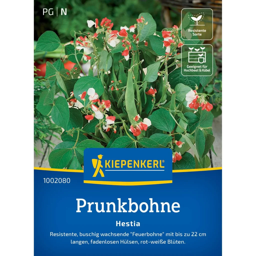 Kiepenkerl Prunkbohnensamen Hestia, robuste, dekorative Pflanzen für Ihren Garten, ideal für frische Bohnengerichte.
