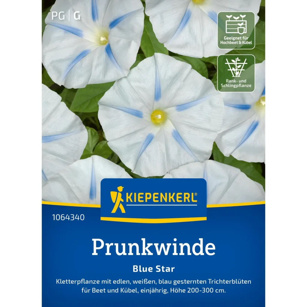 Kiepenkerl Prunkwinde Blue Star, leuchtend blaue Blüten, ideal für Balkon und Garten, pflegeleicht und blühfreudig.