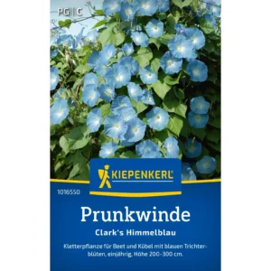 Prunkwindensamen Clark's Himmelblau