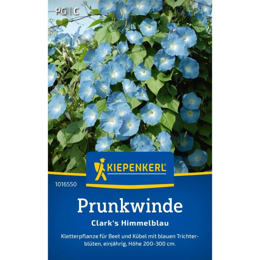 Kiepenkerl Prunkwinde &apos;Clarks Himmelblau&apos;, farbenfrohe blühende Kletterpflanze, ideal für Gärten und Balkone, robust und pflegeleicht.